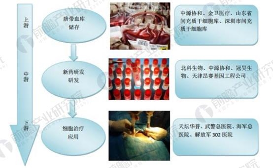 干细胞
