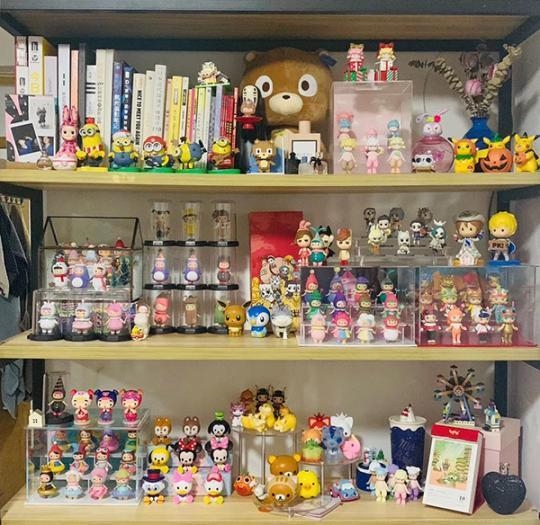 林晓北京的家中部分娃娃。来源:受访者林晓提供