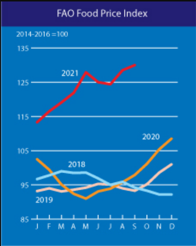 联合国粮农组织食品价格指数创十年新高(来源：FAO)