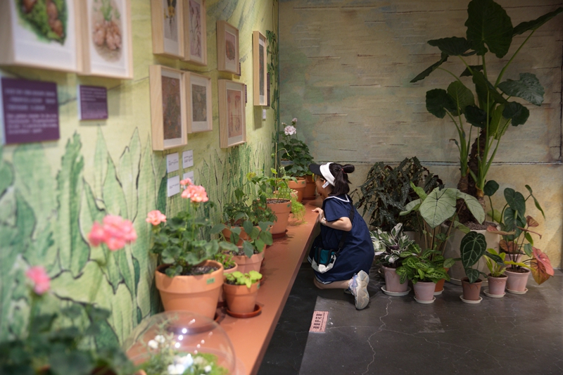 小观众在观察植物 